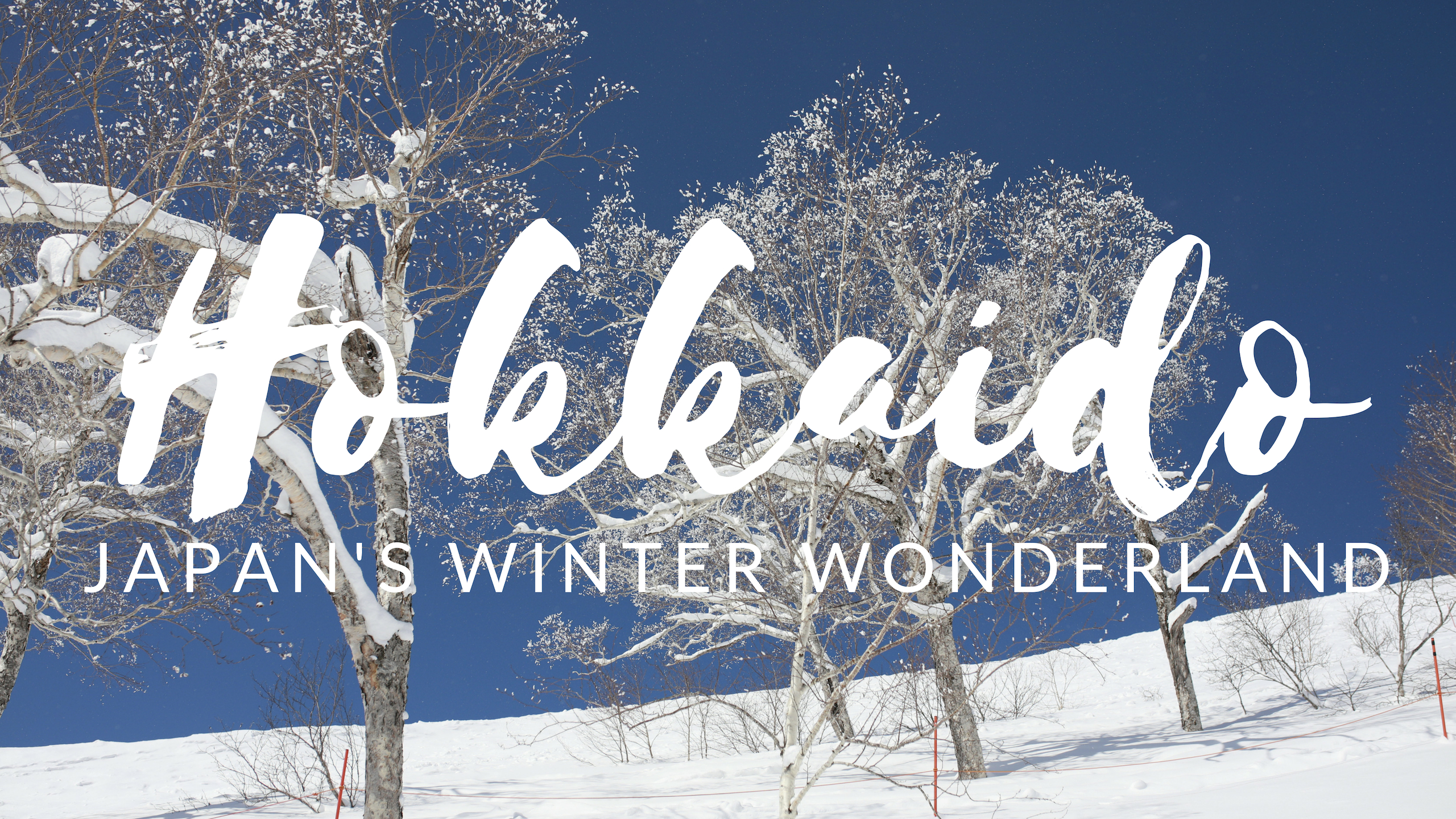 Club Med Tomamu Hokkaido: Japan’s Winter Wonderland